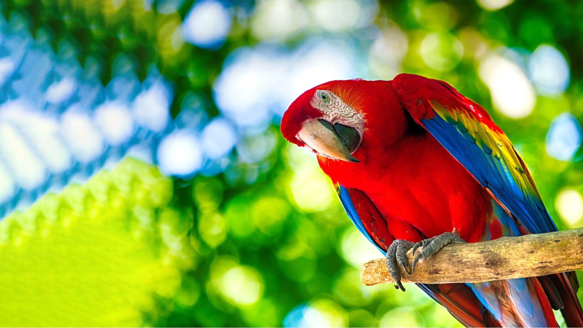 Wagner renkleri ile tüm ortamlarda harikalar yaratın!